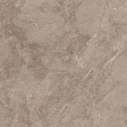 TITANIUM BROWN RMV59.2x59.2