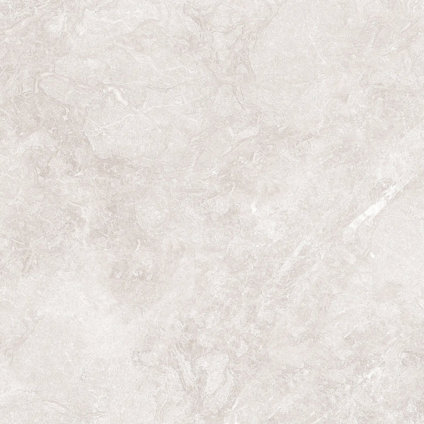TITANIUM IVORY RMV59.2x59.2