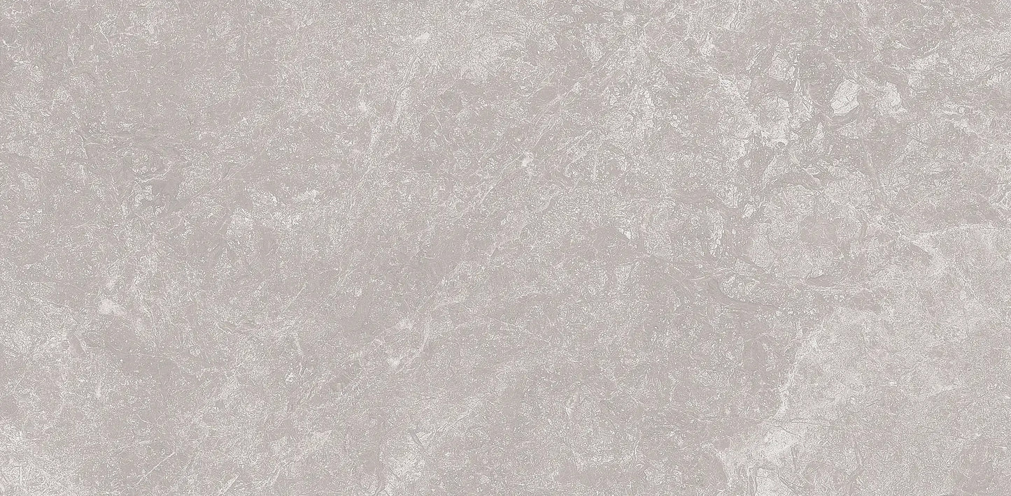 TITANIUM SILVER RMV29.2x59.2