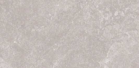 TITANIUM SILVER RMV29.2x59.2