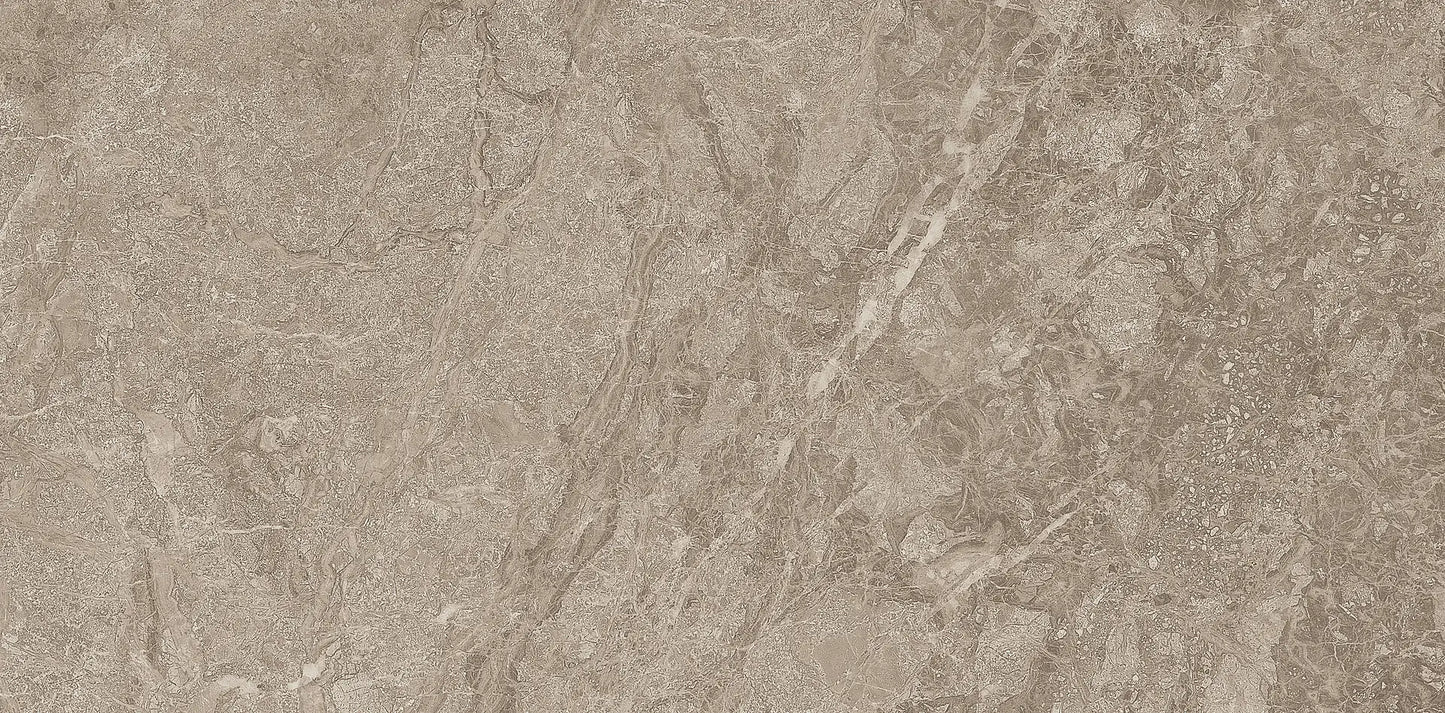 TITANIUM BROWN 29.2x59.2 MAT