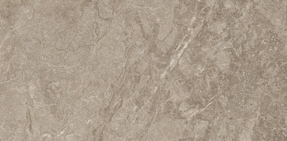 TITANIUM BROWN 29.2x59.2 MAT