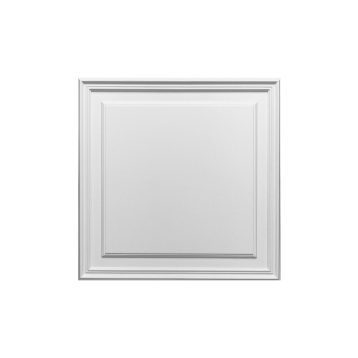 Panou DUROPOLYMER D503