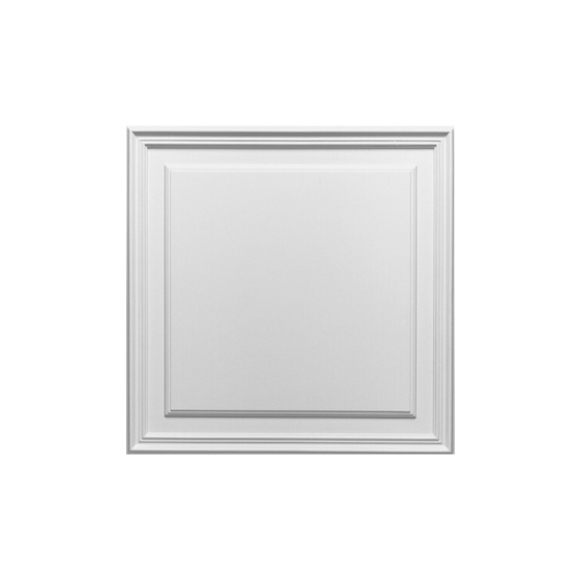 Panou DUROPOLYMER D503