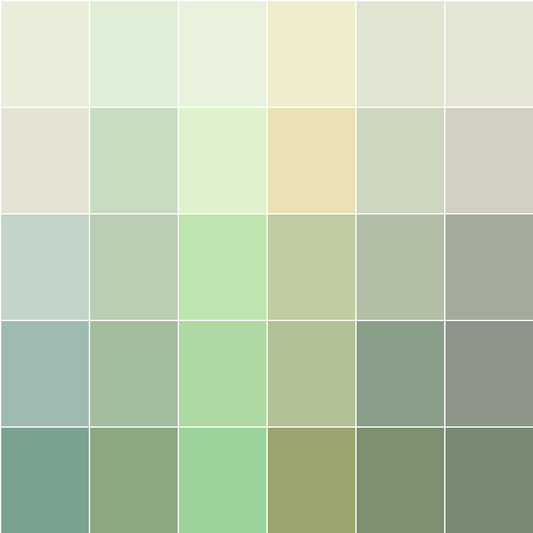 Antica Calce T-Colore Cinque