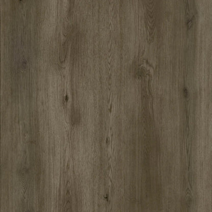 SPC GRIZZLY Bankster RENACG002