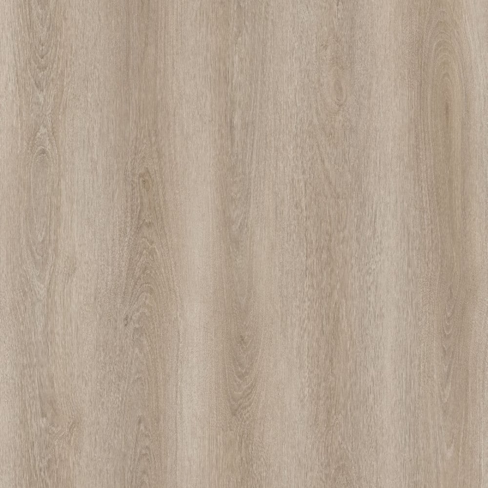 SPC GRIZZLY Bug RENACG011