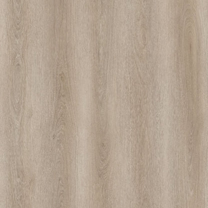 SPC GRIZZLY Bug RENACG011