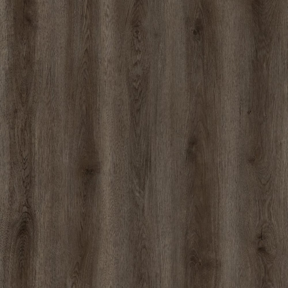 SPC GRIZZLY Buzz RENACG015