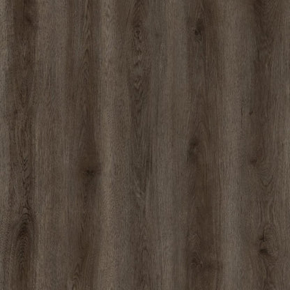 SPC GRIZZLY Buzz RENACG015