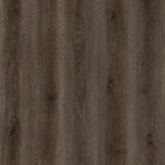 SPC GRIZZLY Buzz RENACG015