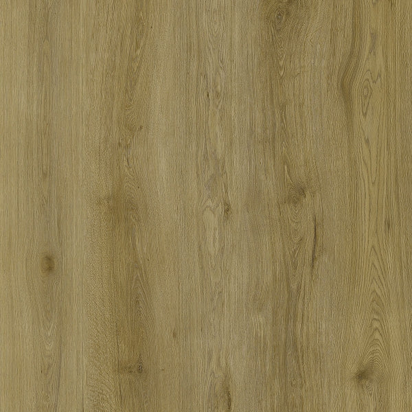 SPC GRIZZLY Epic RENACG004