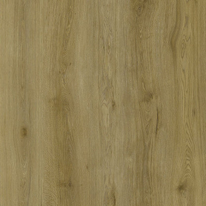 SPC GRIZZLY Epic RENACG004