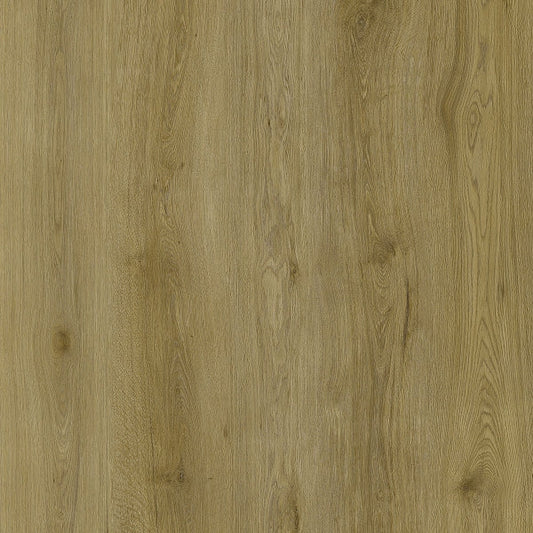 SPC GRIZZLY Epic RENACG004