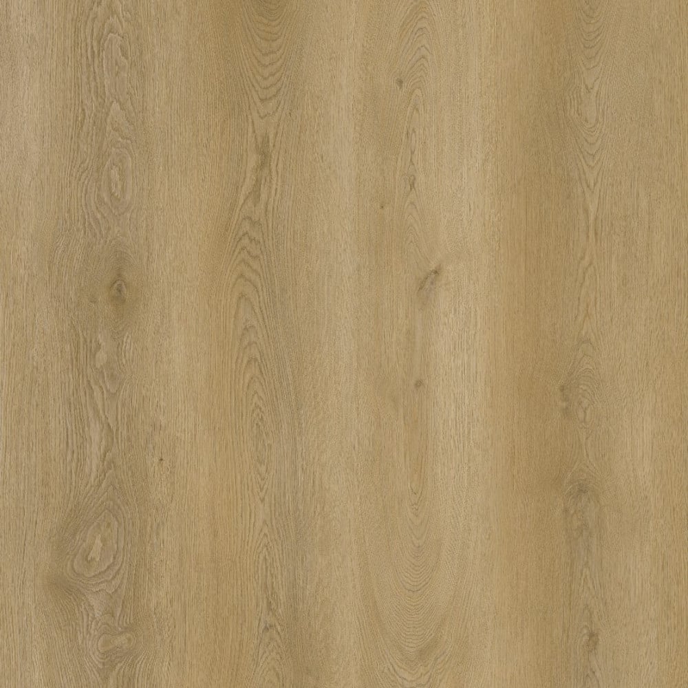 SPC GRIZZLY Fly RENACG010