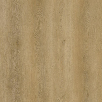 SPC GRIZZLY Fly RENACG010