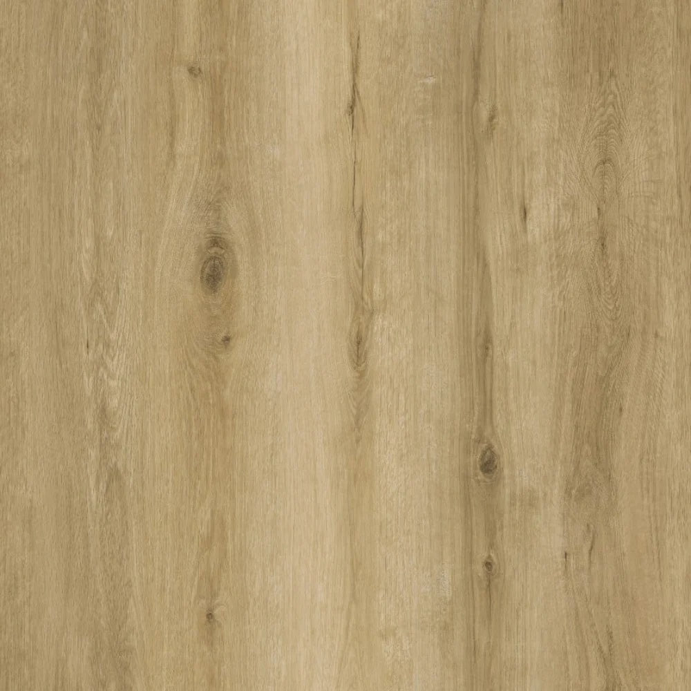 SPC GRIZZLY Lost RENACG007