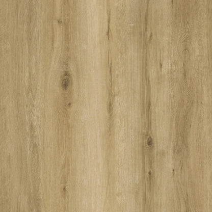 SPC GRIZZLY Lost RENACG007