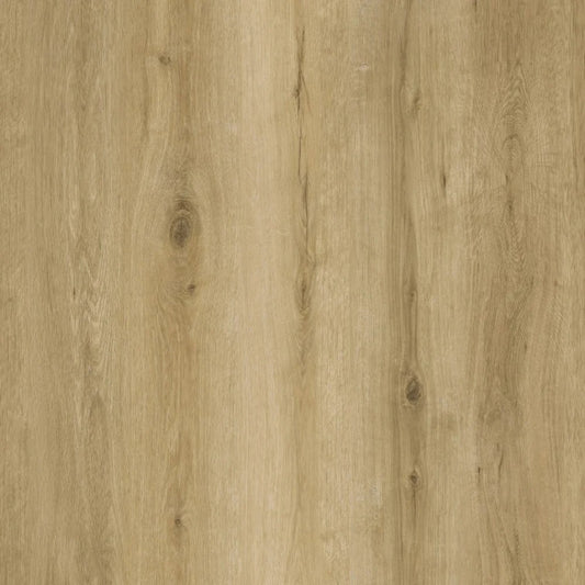 SPC GRIZZLY Lost RENACG007