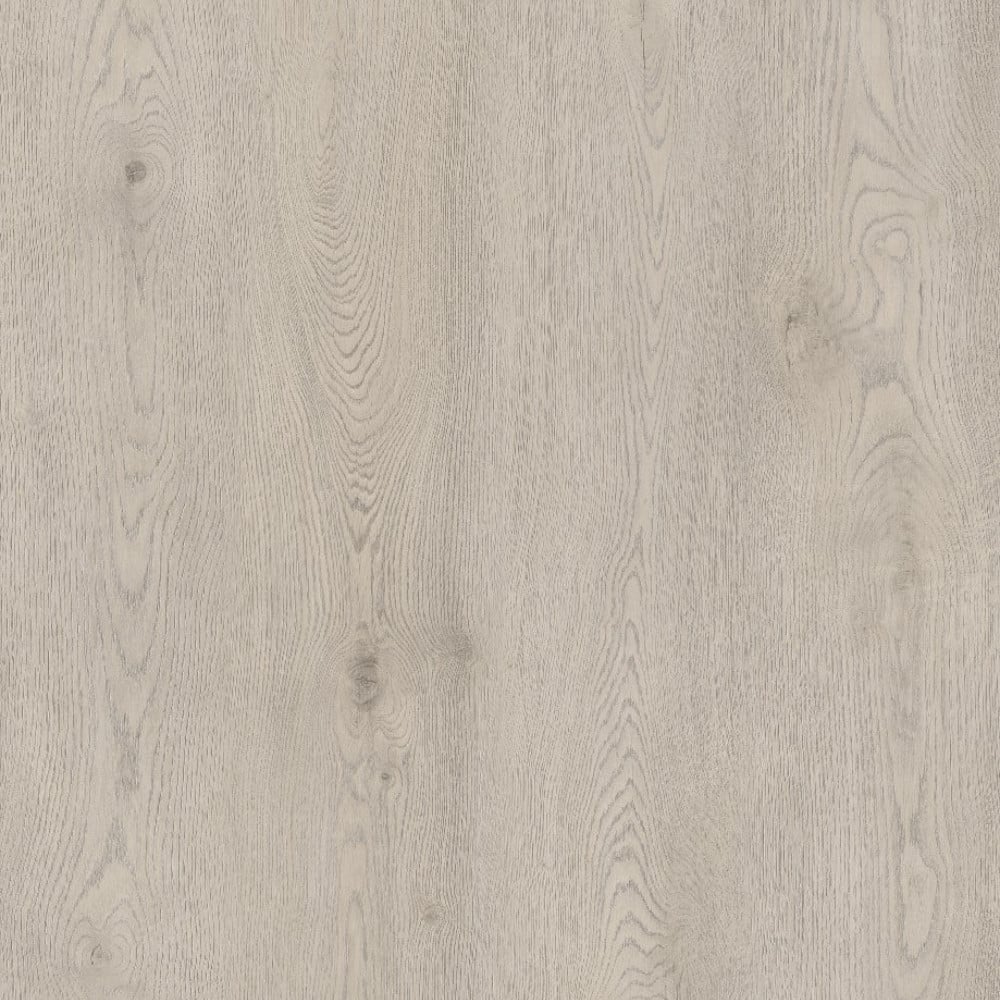 SPC TIGER Bounce REASCT001