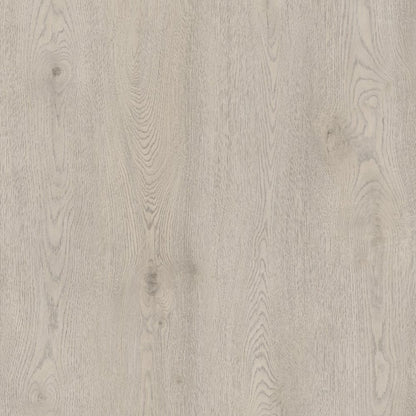 SPC TIGER Bounce REASCT001