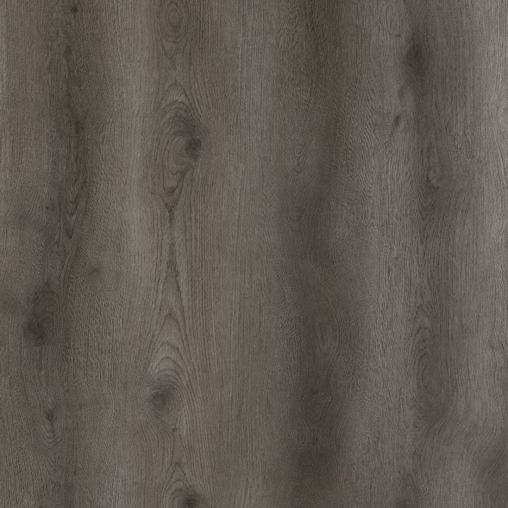 SPC TIGER Legal REASCT003