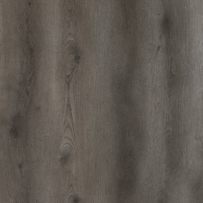 SPC TIGER Legal REASCT003