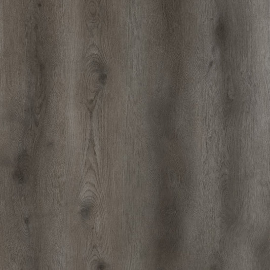 SPC TIGER Legal REASCT003