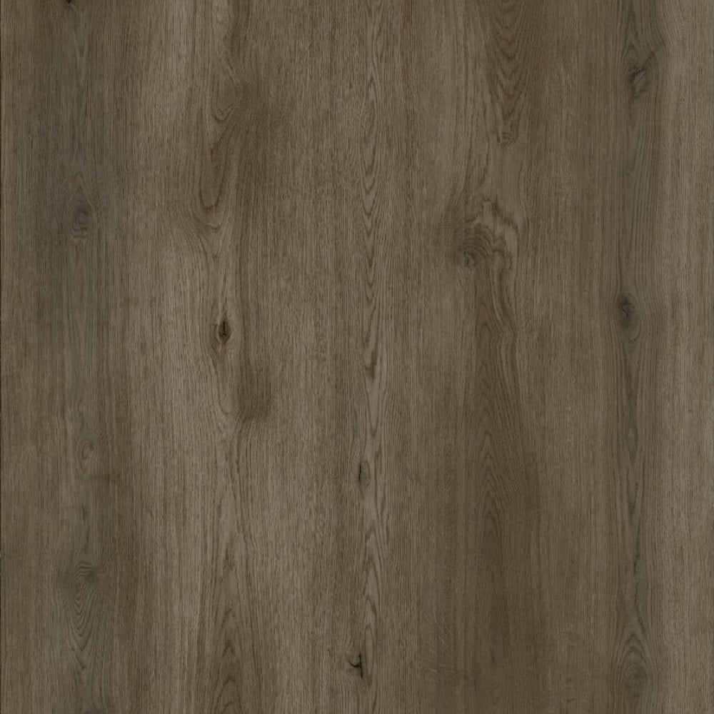 SPC WOLF Bang REEUCW002