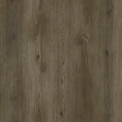 SPC WOLF Bang REEUCW002