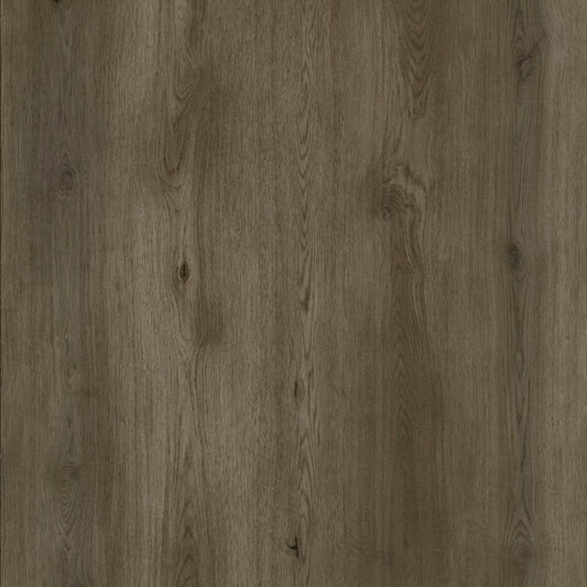 SPC WOLF Bang REEUCW002