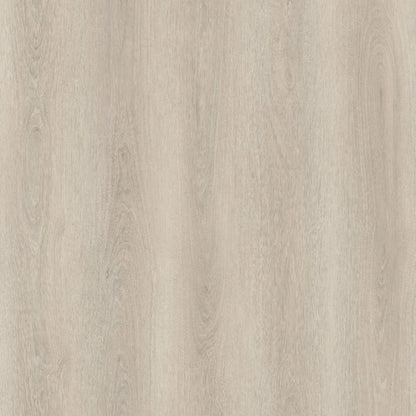 SPC WOLF Cringe REEUCW003