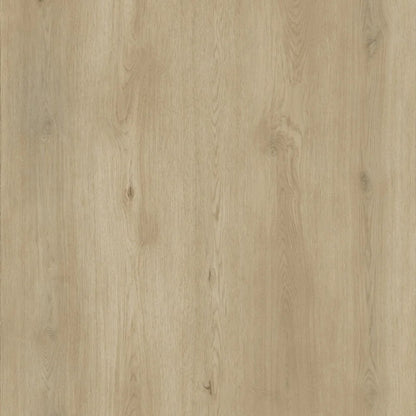 SPC WOLF On Fleek REEUCW005