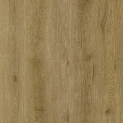 SPC WOLF Strange REEUCW004