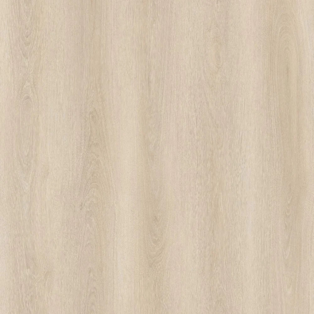 SPC WOLF Winni REEUCW001