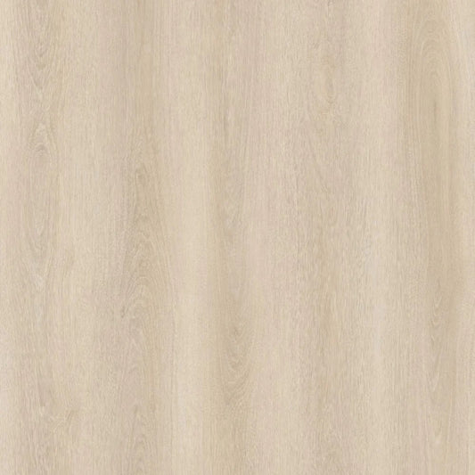 SPC WOLF Winni REEUCW001